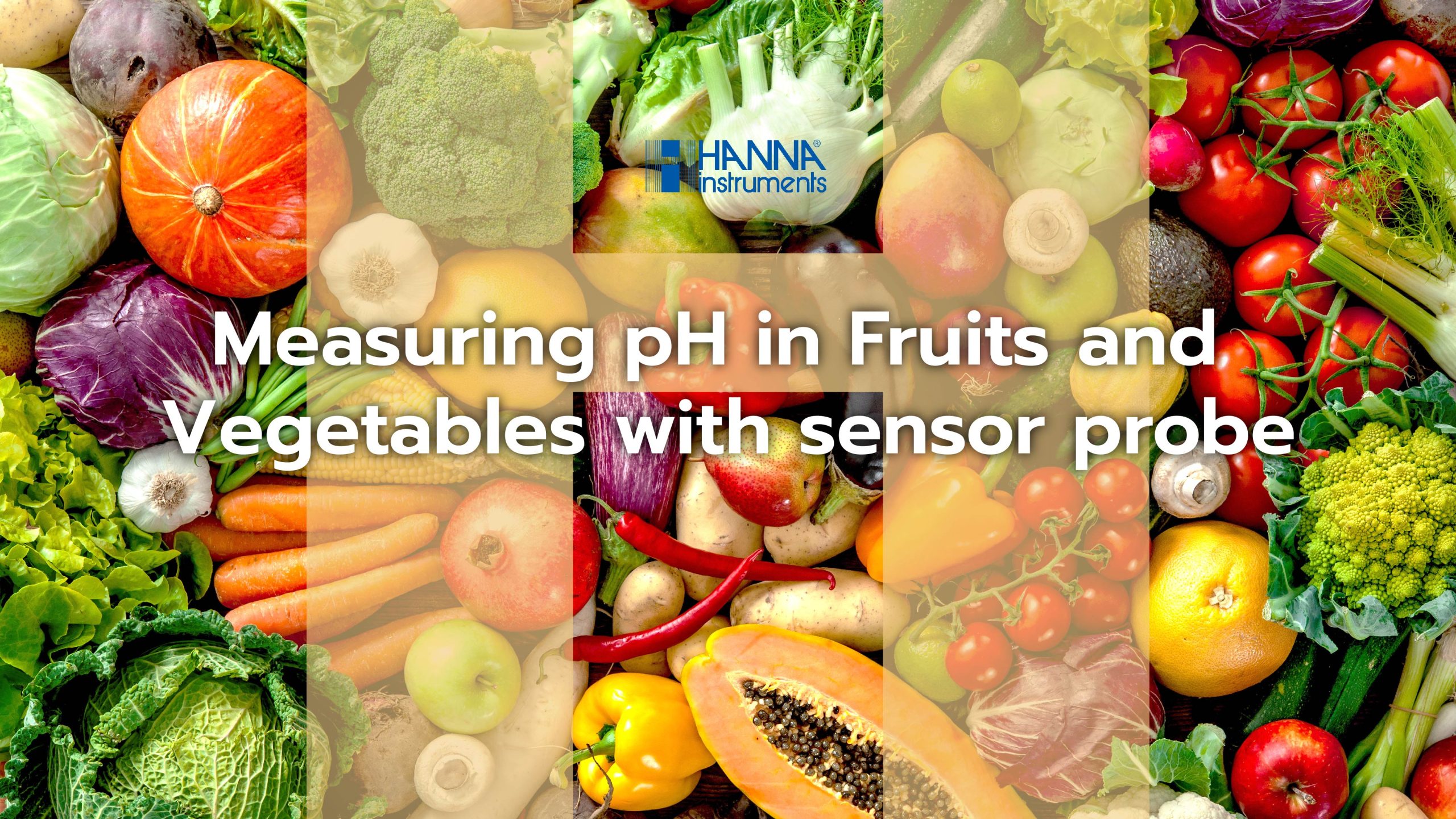 Measuring pH in Fruits and Vegetables with Sensor Probe. Hanna