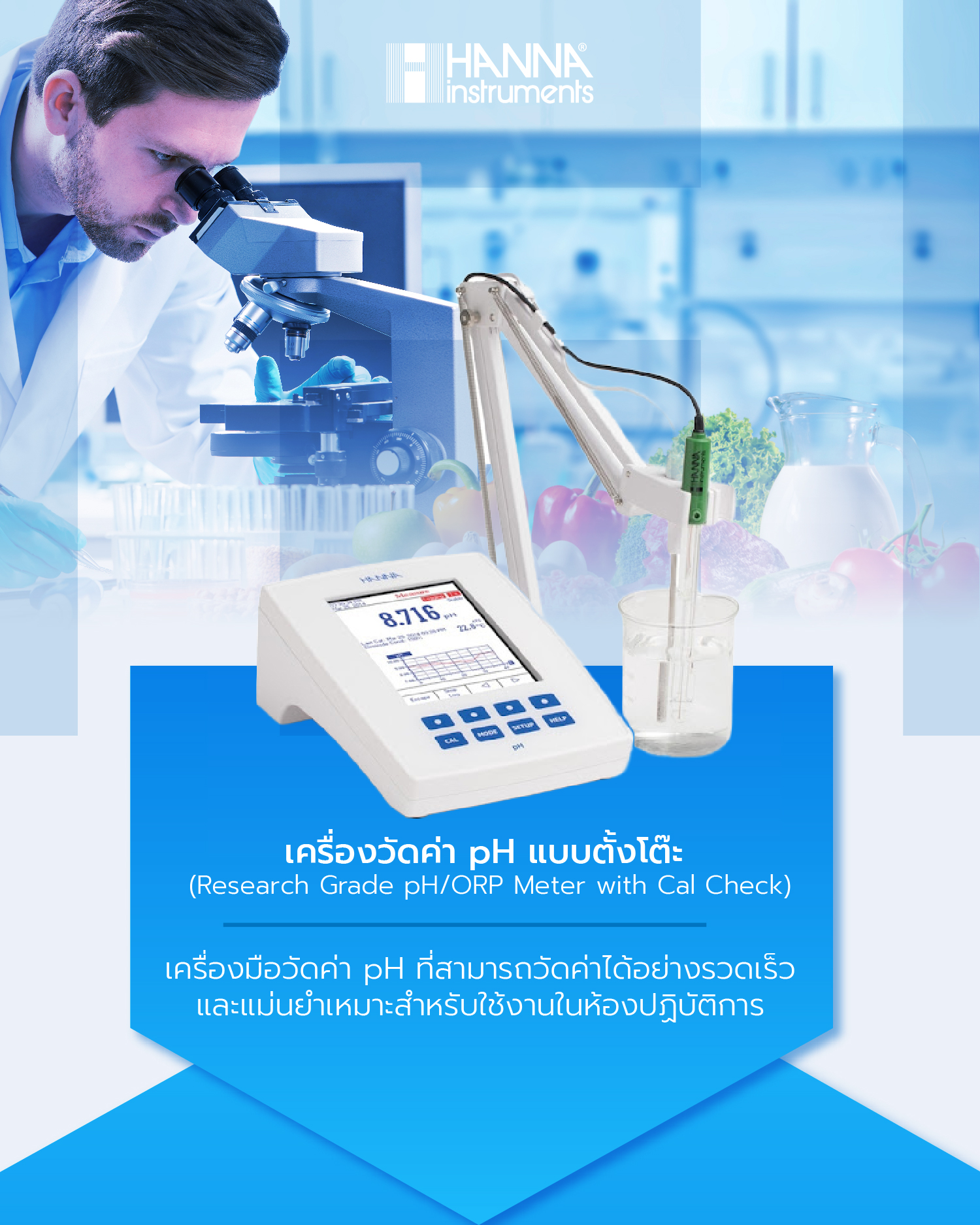 Testeur électronique pH checker Plus - HANNA INSTRUMENTS