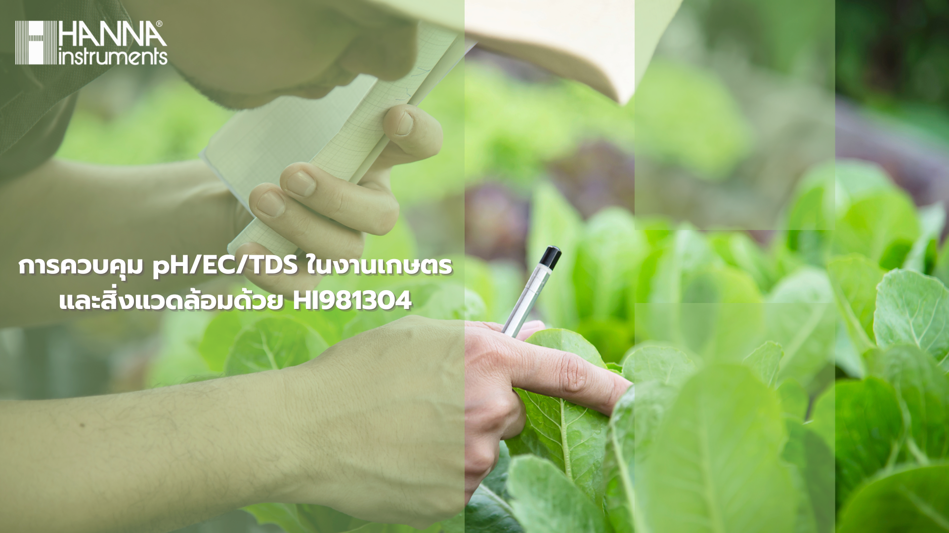 การควบคุม pH/EC/TDS ในงานเกษตรและสิ่งแวดล้อมด้วย HI981304
