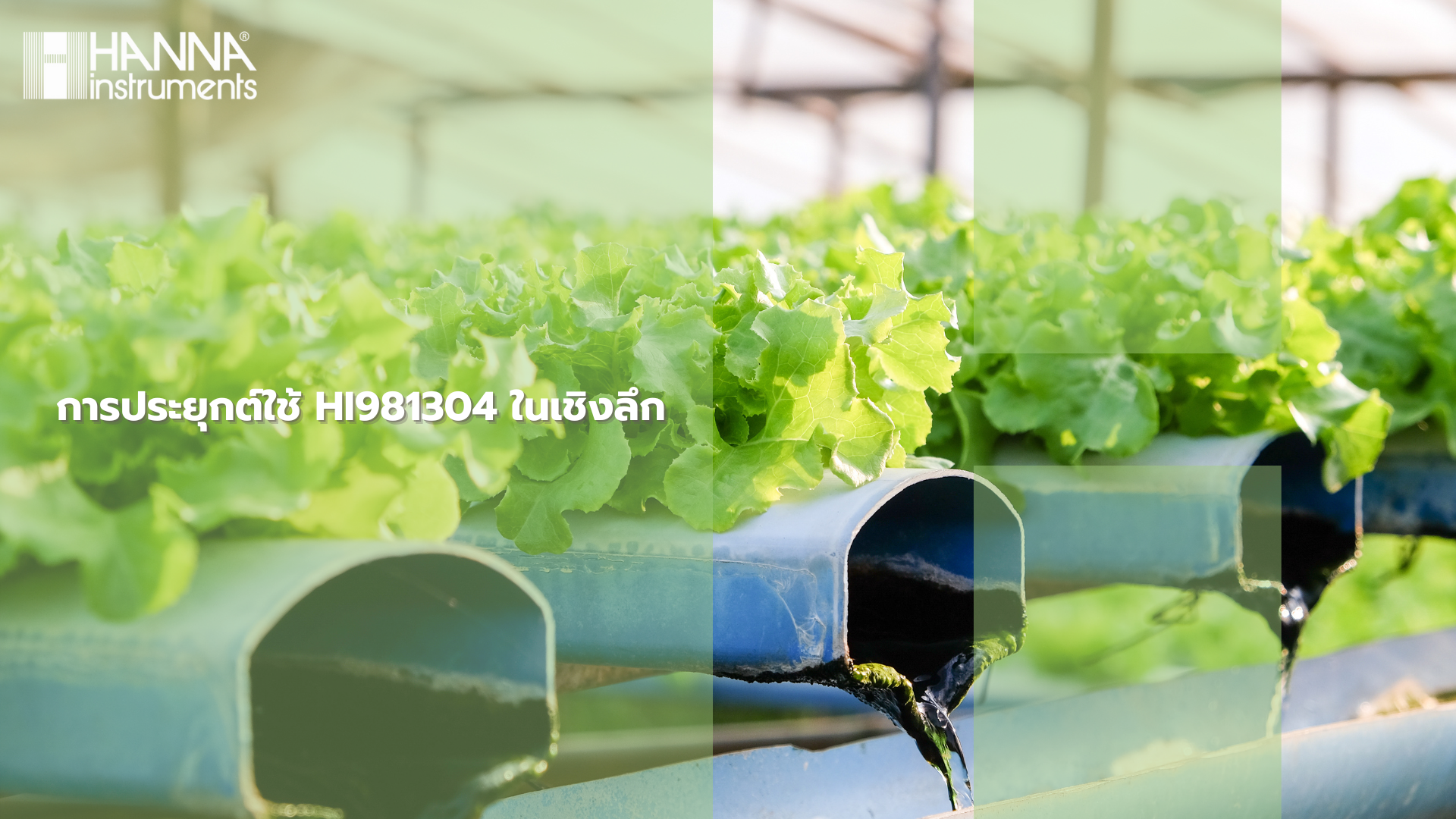 การประยุกต์ใช้ HI981304 ในเชิงลึก